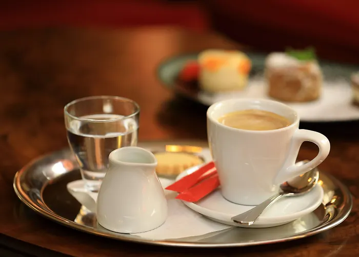 Bellevue Vienna
